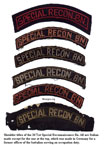 OSS-2671ssi.JPG (108695 bytes)
