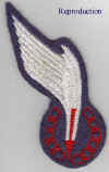 SAARFrepro.jpg (17281 bytes)