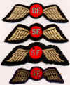 SFwing.jpg (74712 bytes)